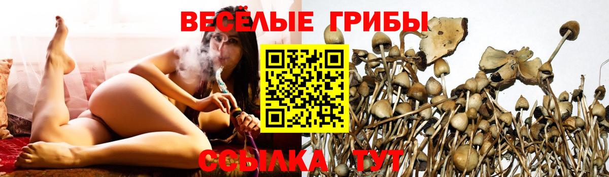 Галлюциногенные грибы мухоморы Павлово