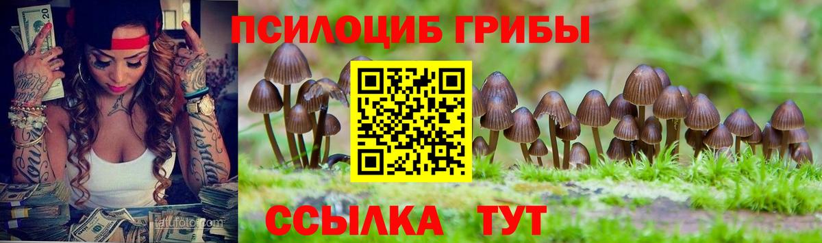 Галлюциногенные грибы GOLDEN TEACHER  Вход с VPN  Псилоцибиновые грибы Cubensis  Павлово 